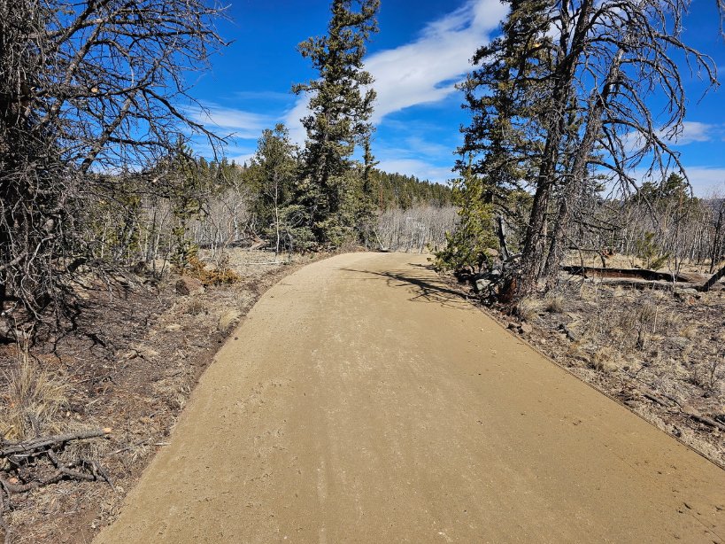 Paul Ruiz tweet media