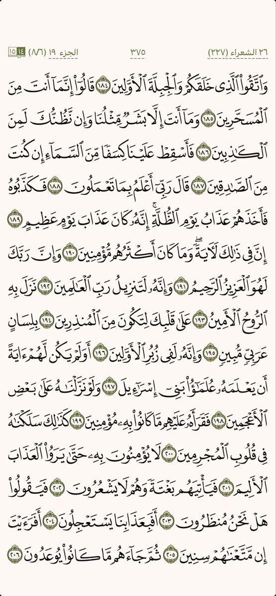 كل يوم صفحة tweet media