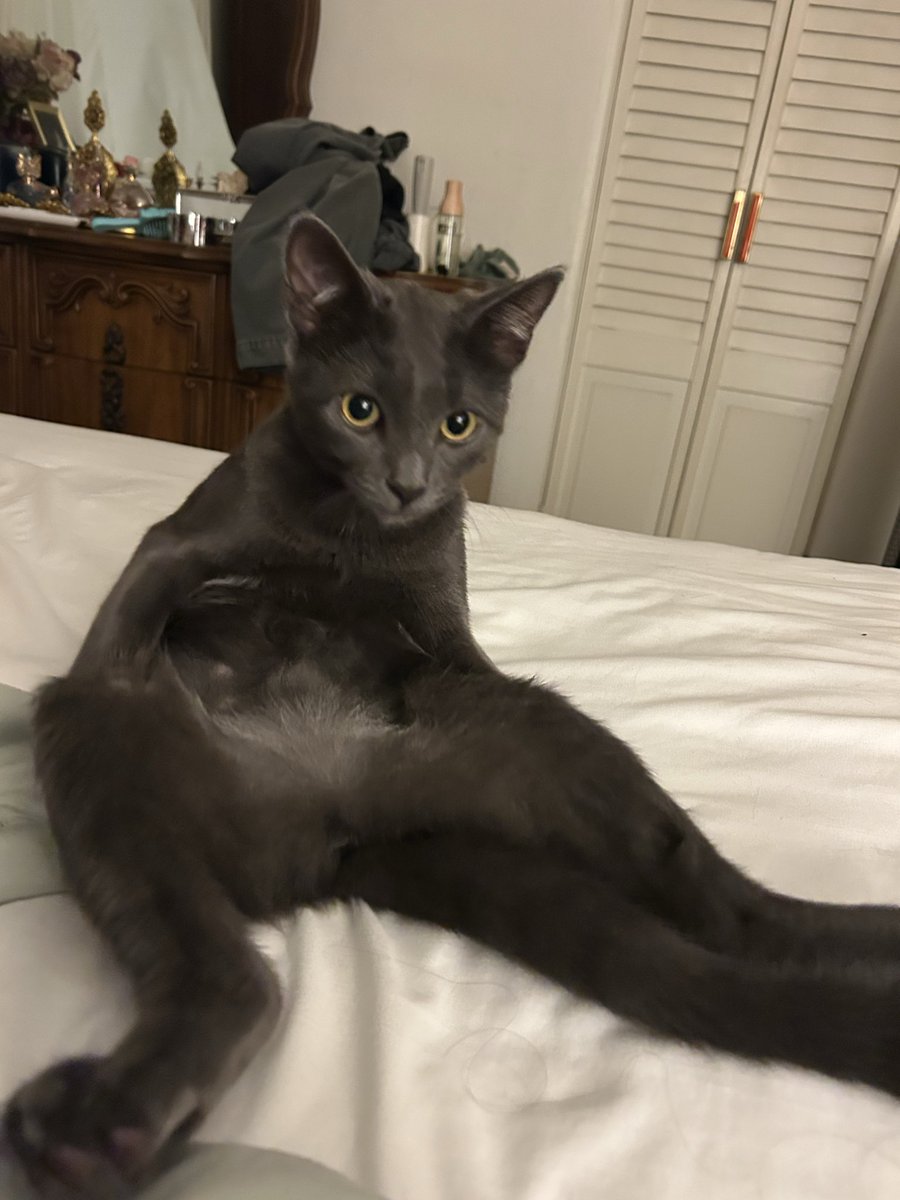 ▴ limk ▴ tweet media