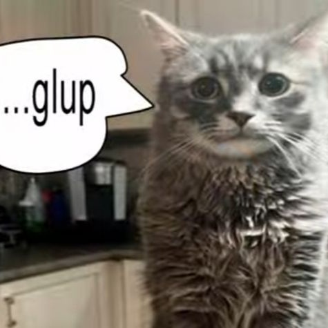 Sen  ̄ 3 ̄ tweet media