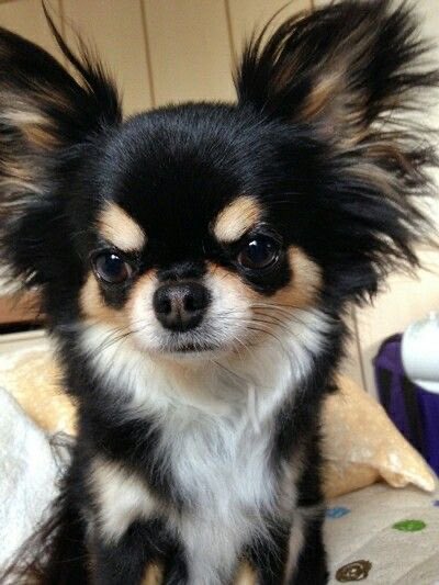 📍🗽 tweet media