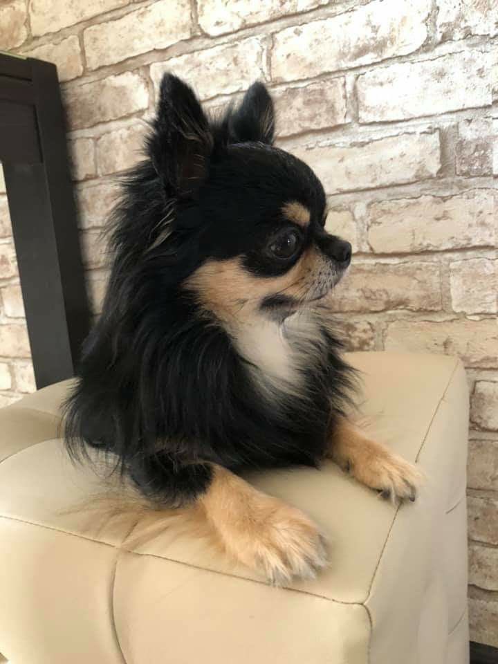 📍🗽 tweet media