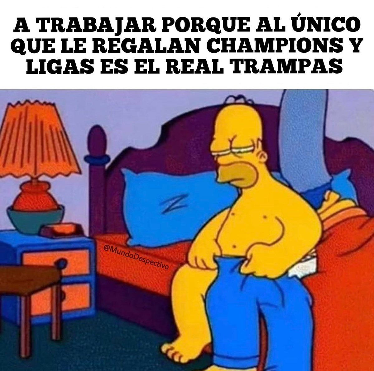 gato_Ayala17 tweet media