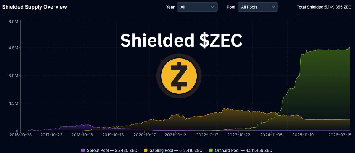 Cito Zone tweet media