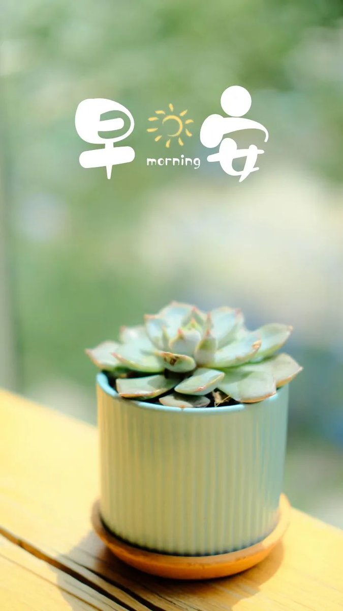 Вячеслав Ангелов tweet media