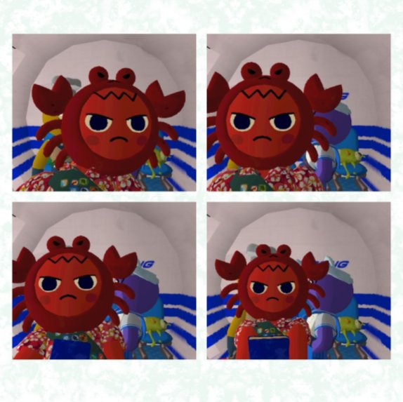 𝙸𝚛𝚒𝚍𝚊 tweet media