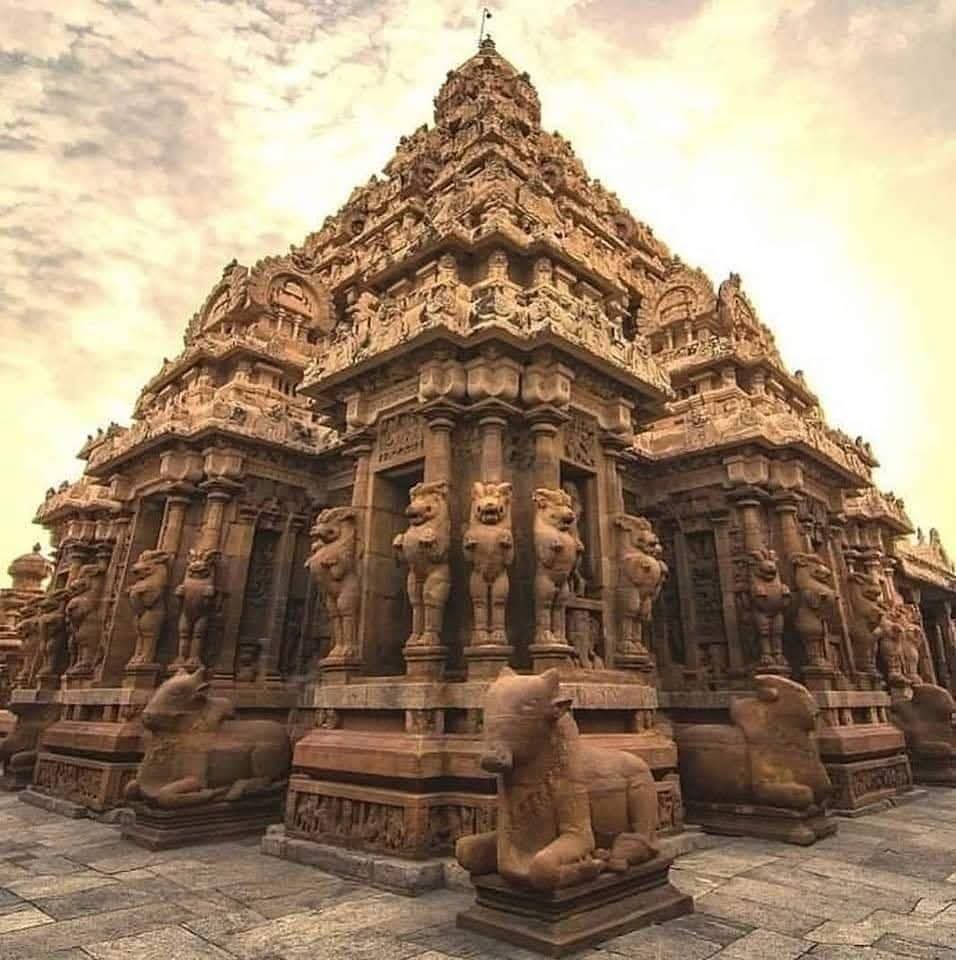 Meeta 🍁 tweet media