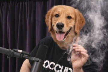 Colton (gen wealth arc) tweet media