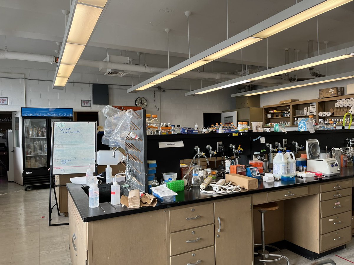 Amy Ikui Lab tweet media