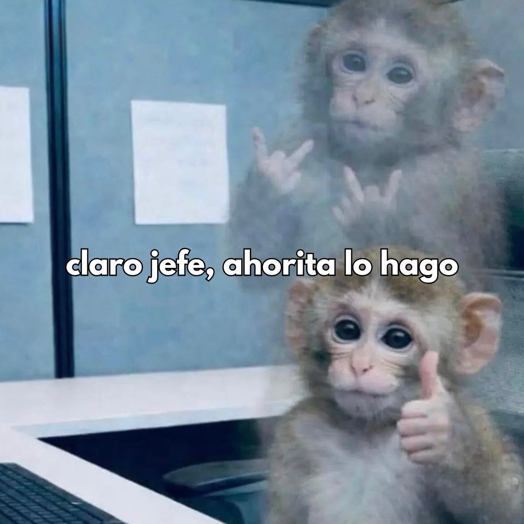 Mundo de Bigotes tweet media