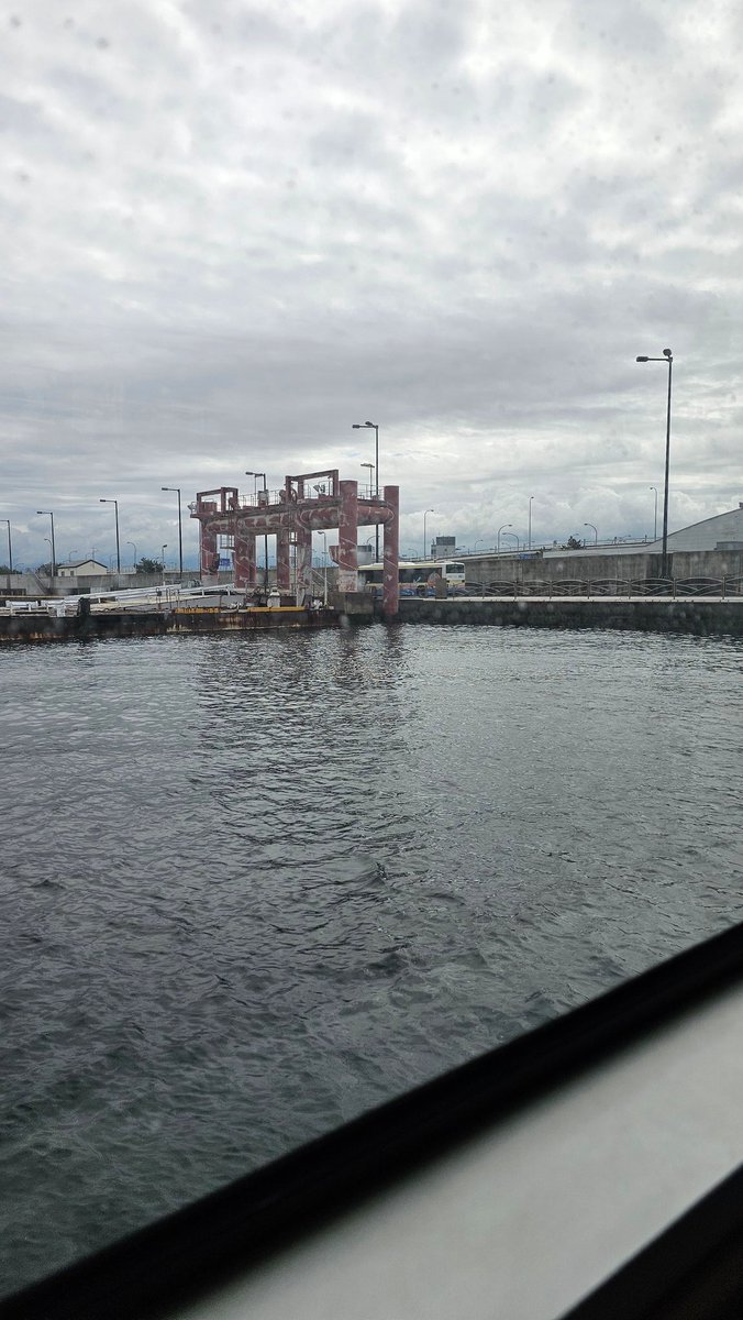 민섹 みんせく tweet media