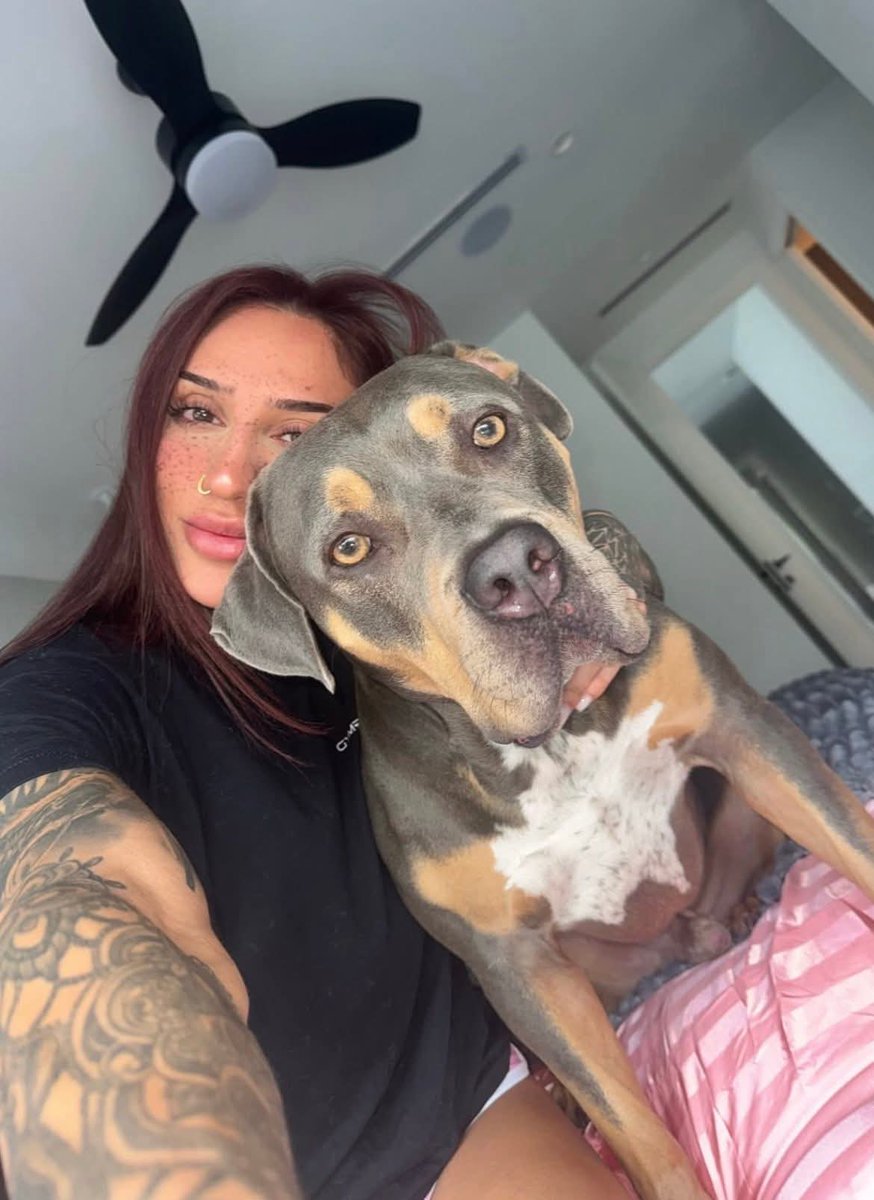 Bakhar Nabieva tweet media