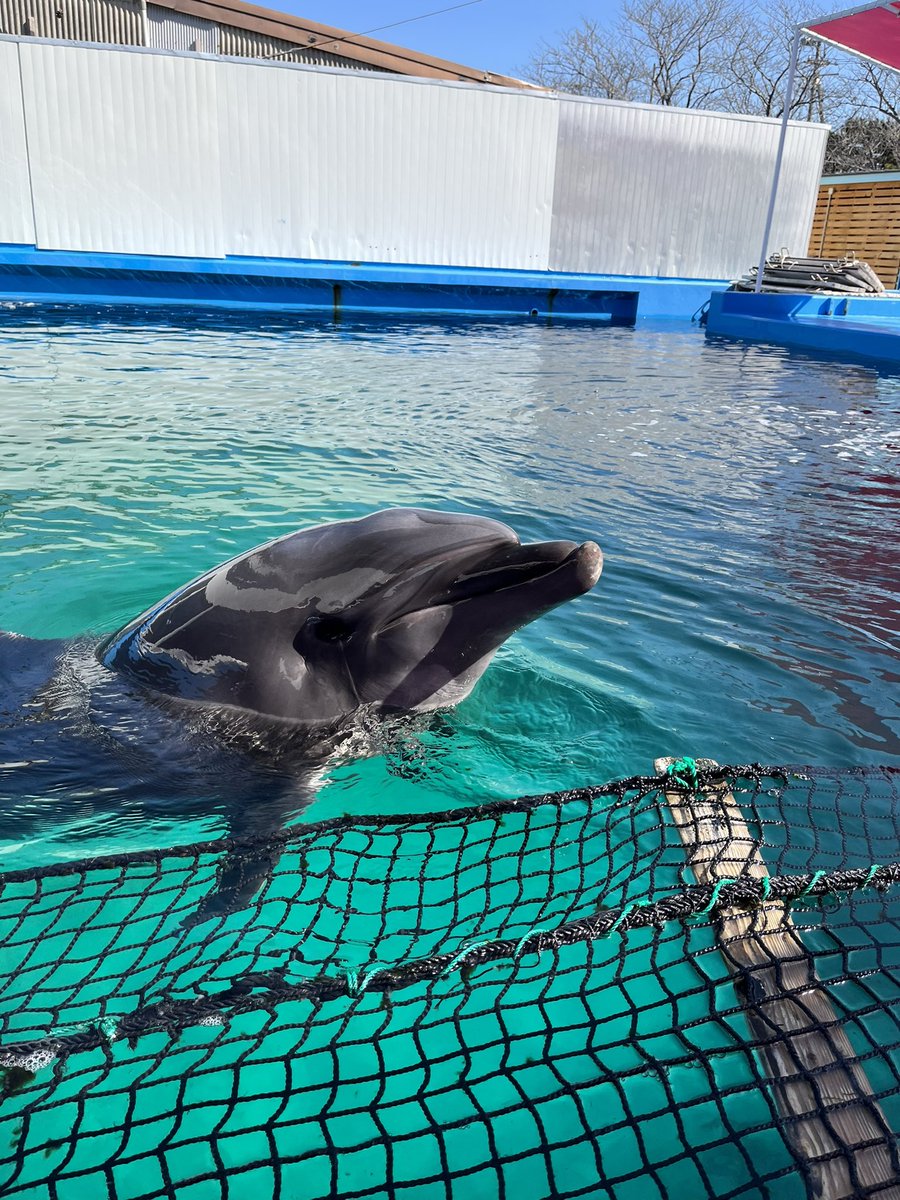 ゆなまれ tweet media