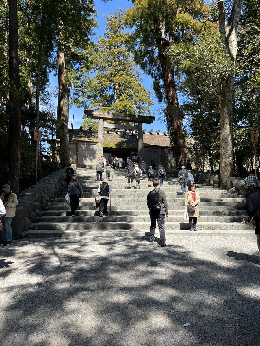 ゆなまれ tweet media