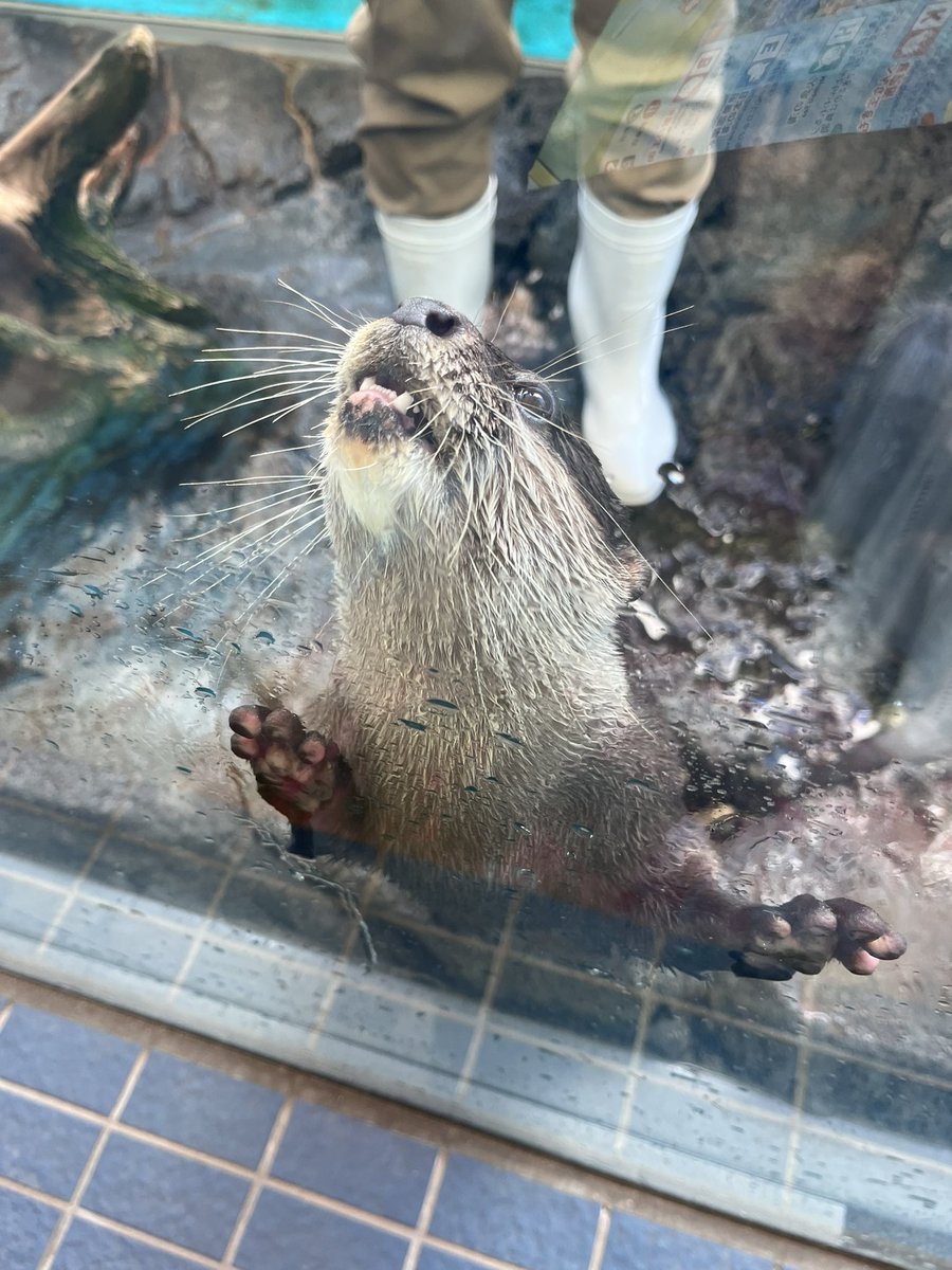 ゆなまれ tweet media