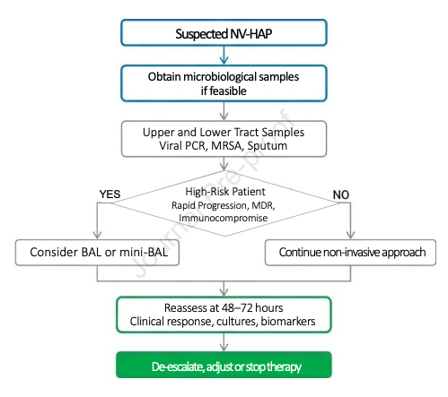 Alí Sebastian Meza tweet media