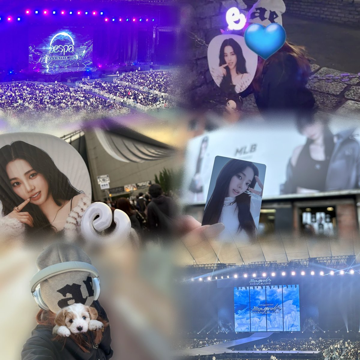 いぬち💙🐶 tweet media