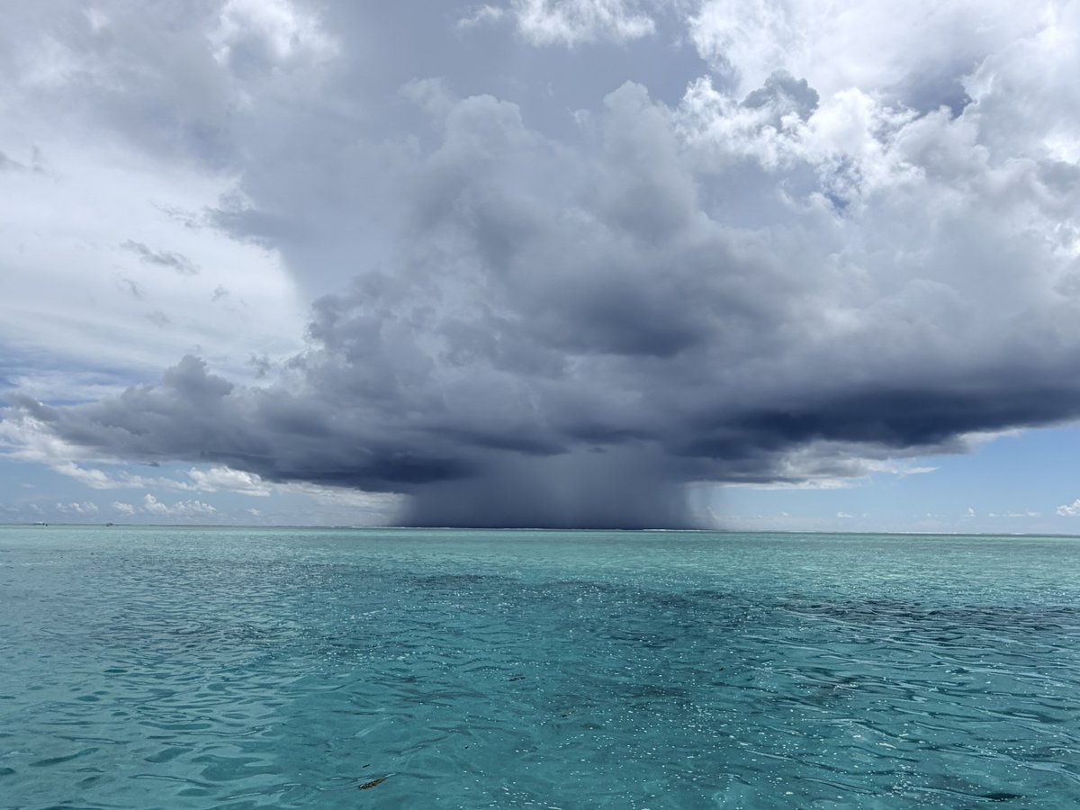 Toby 🛩️ tweet media