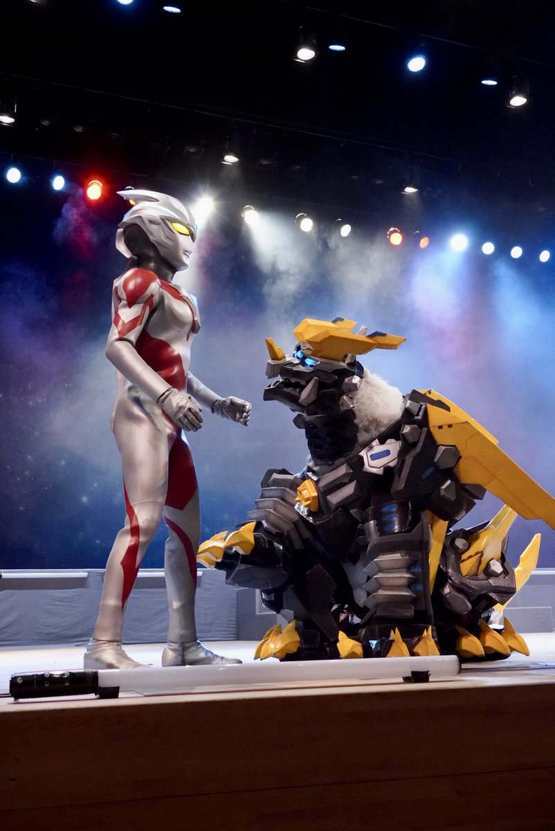 追いかけて雪国 tweet media