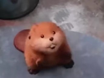 Moimoi🧁🐻 tweet media