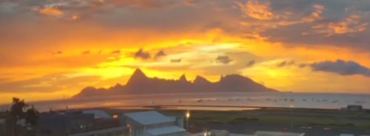 Owen Tooelve tweet media