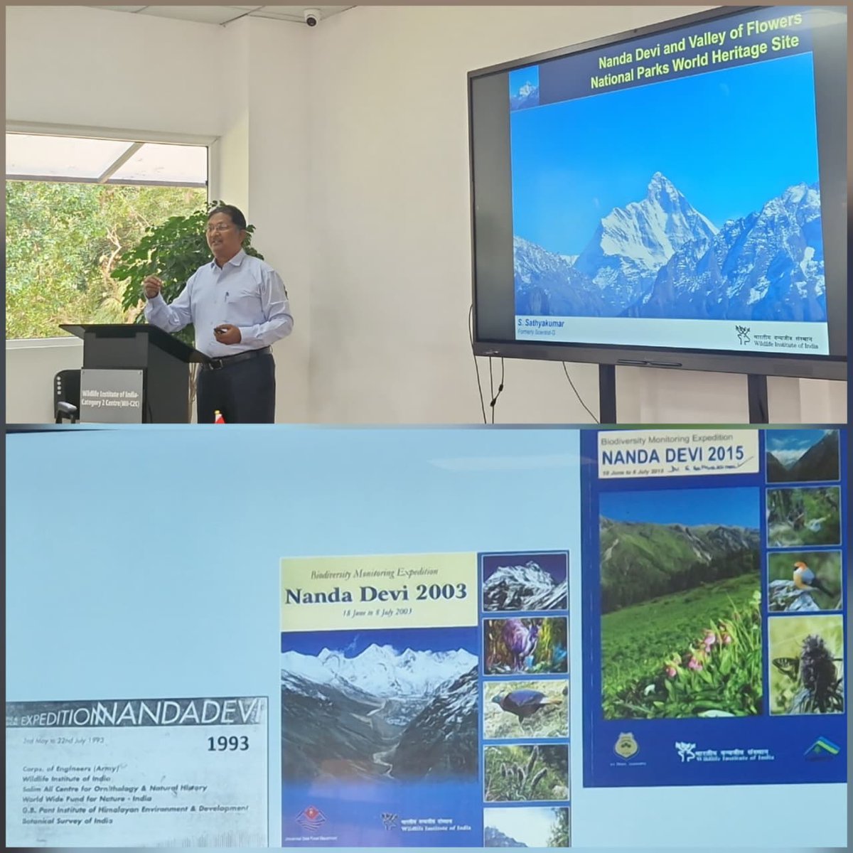 Wildlife Institute of India tweet media