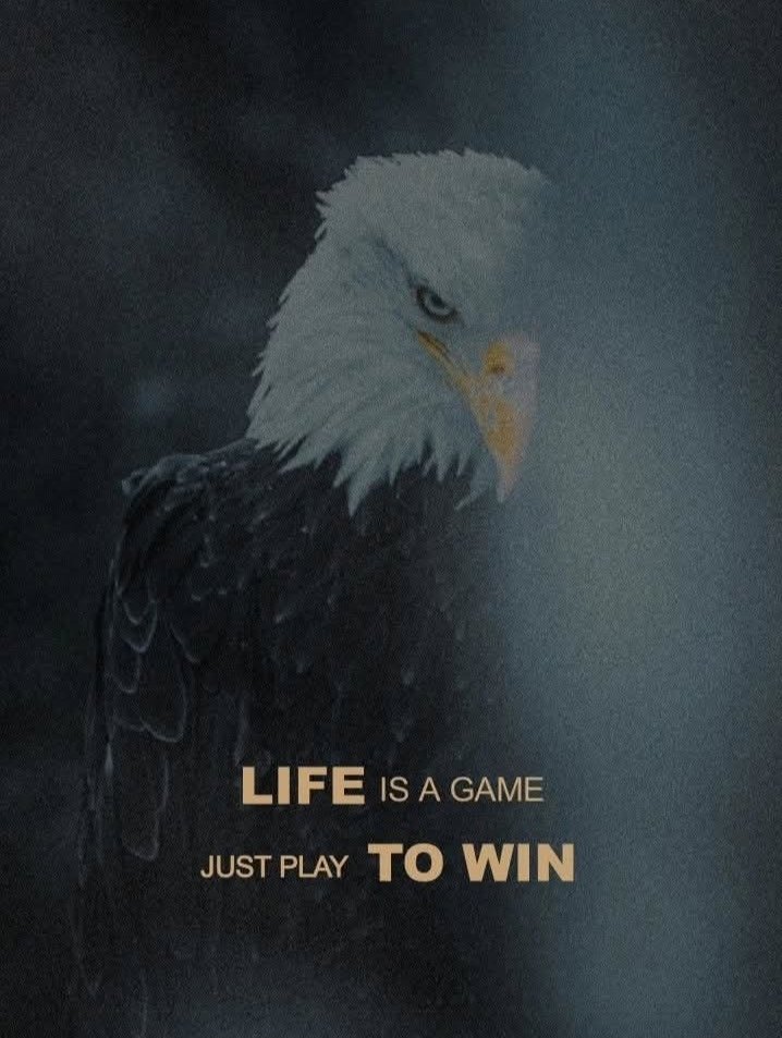 Erick || Web3 Explainer. tweet media