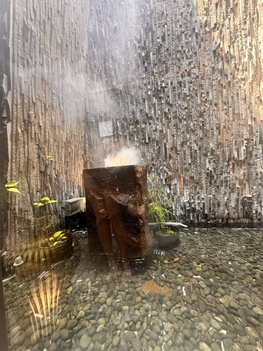 哈巴狗喵喵 tweet media