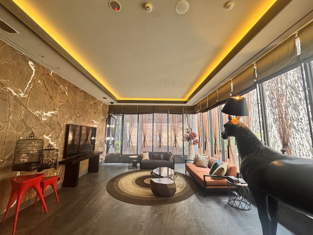 哈巴狗喵喵 tweet media