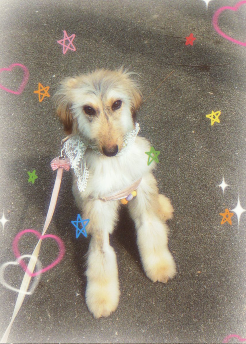 Catastrophy300 tweet media