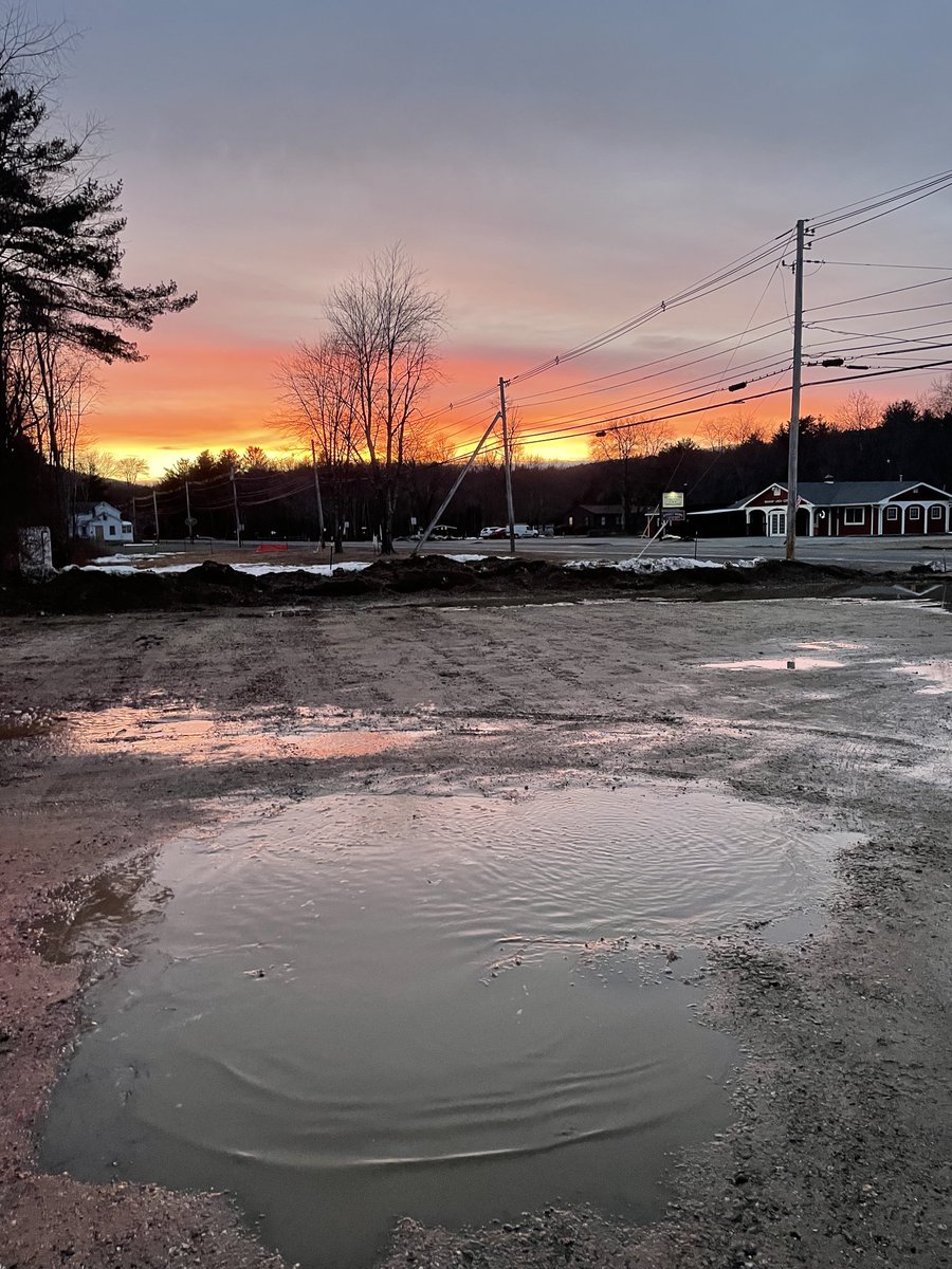 R.Сам 🦋🐏 tweet media