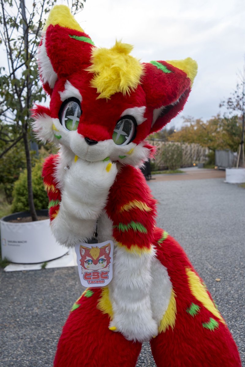 セイル tweet media