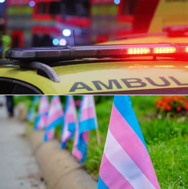 RedDiversidad's tweet photo. Mujer Trans refugiada en Europa, fue víctima de brutal ataque de odio.

Danial de 24 años, huyó de Siria buscando un lugar seguro, pero fue apuñalada en el propio centro de solicitantes de asilo donde se encontraba, en la ciudad de Leiden, en Países Bajos. Hilo. https://t.co/MlEeMBA6Ea
