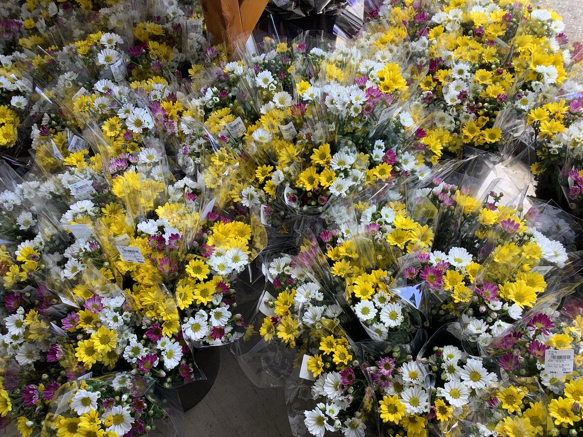 JA95122019's tweet photo. 本日の入荷状況です。
明日は彼岸中日です、天気も午後になって晴れました！

#山梨県　#甲斐市　#よってけし響が丘　#お彼岸 https://t.co/ipbmmFjj3N