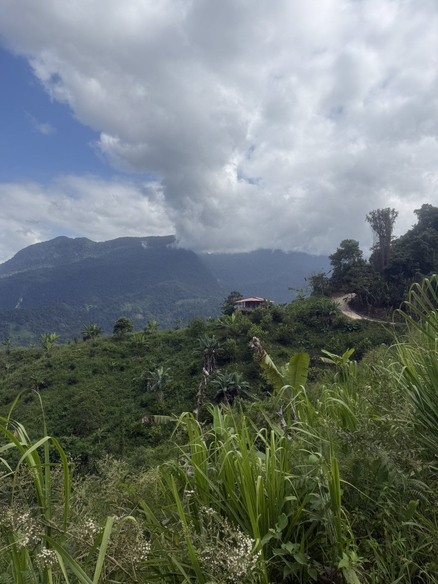 𝗝𝗼𝗻 𝗙𝗹𝗼𝗿𝗲𝘀 tweet media