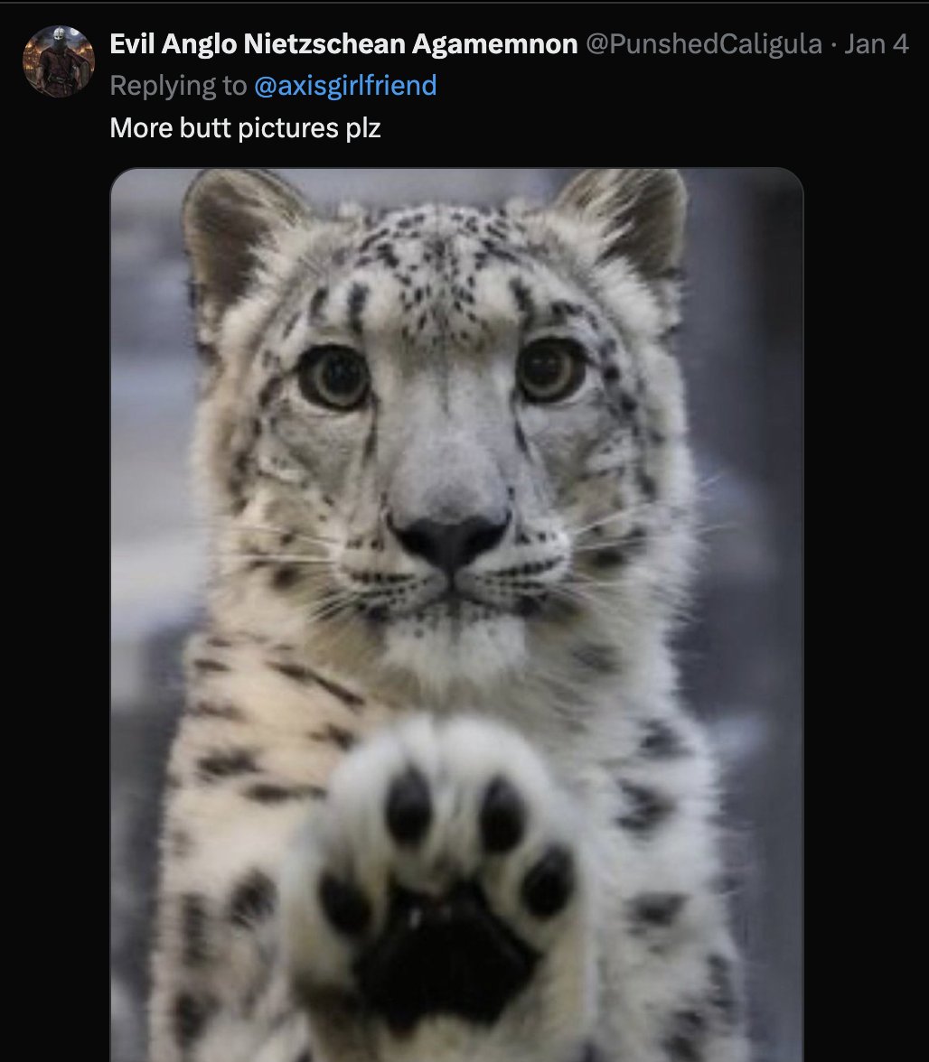 patrick p tweet media