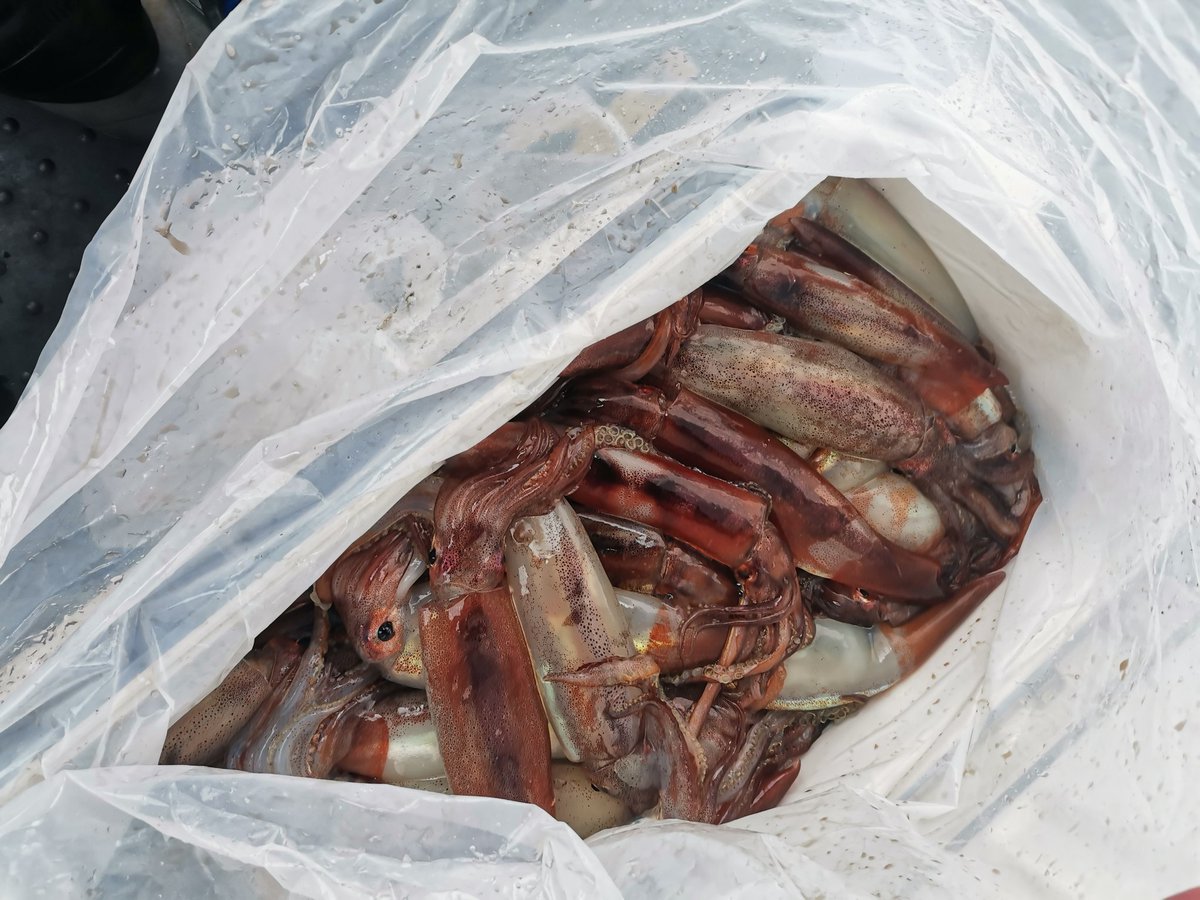 つだ_21style tweet media