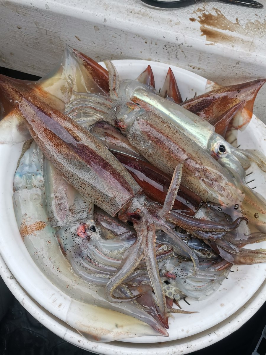 つだ_21style tweet media