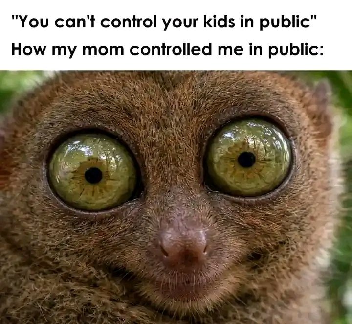 Kingsley Uchenna tweet media