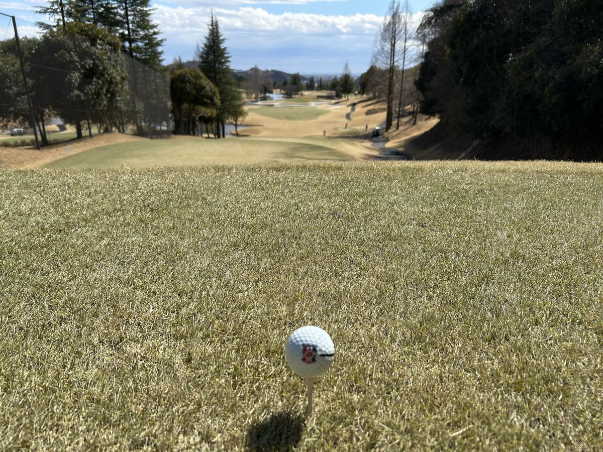 浦和の塾講師🇾🇪 tweet media