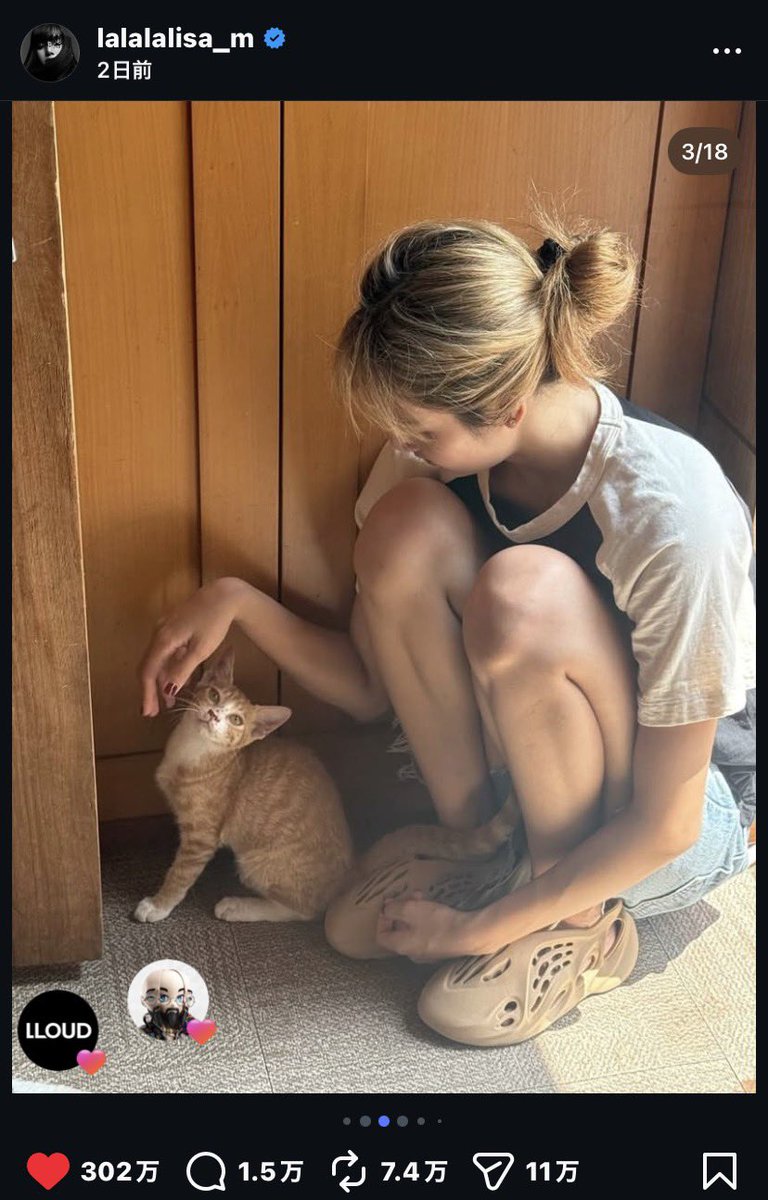 見せられません tweet media