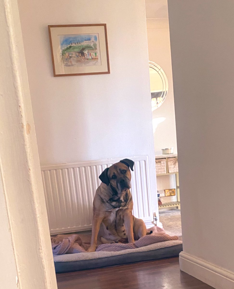 Archille DJOKA tweet media