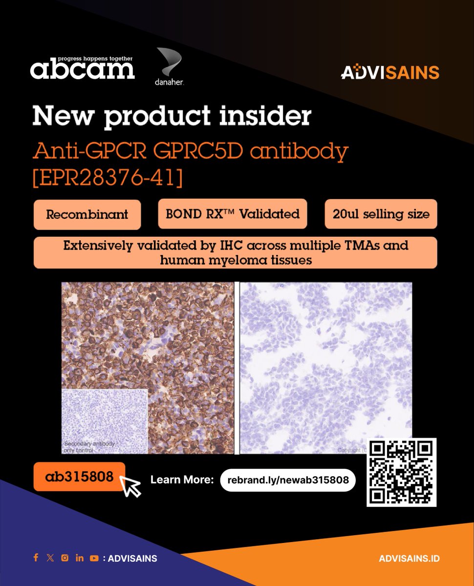 advisains's tweet image. 🔥 New: GPRC5D antibody [EPR2837641] (ab315808). 
✅Recombinant Antibody
✅IHC on TMAs &amp;amp; myeloma
✅Leica BOND® RXvalidated
✅reliable supply
See data: go to Abcam and search “ab315808.”
#GPRC5D #IHC #RecombinantAntibody