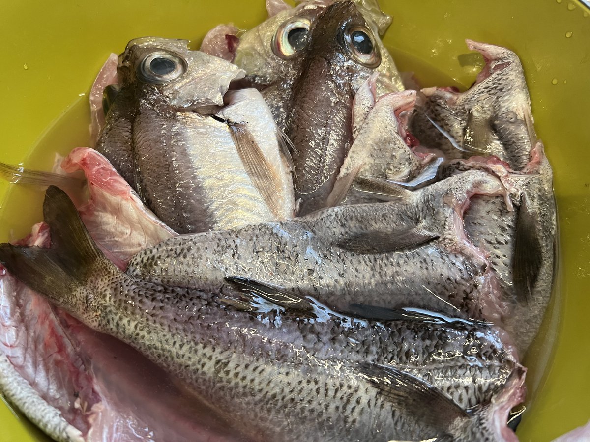 C.S.Model Design WF6-10-08 tweet media