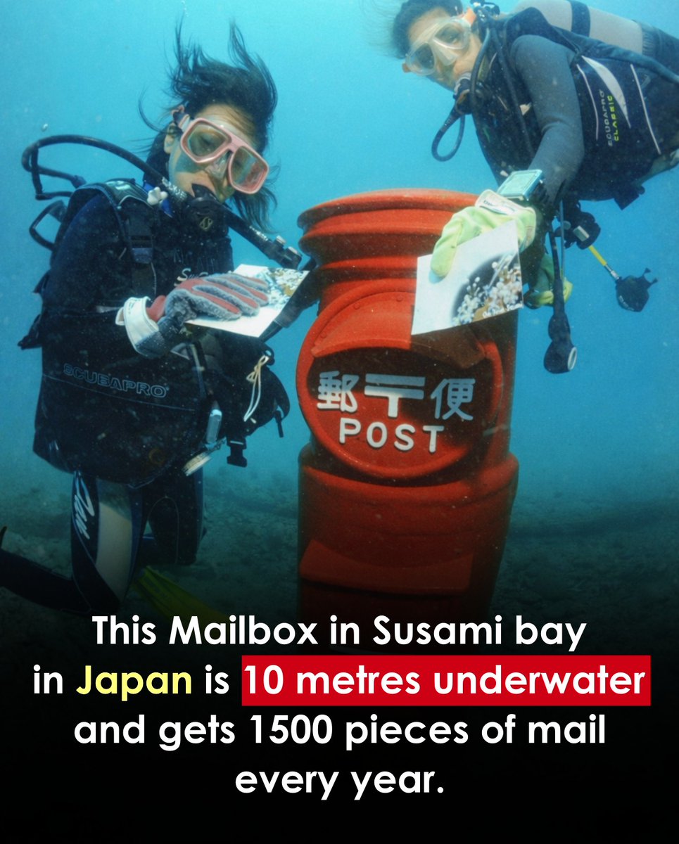 Vikas kumar singh tweet media