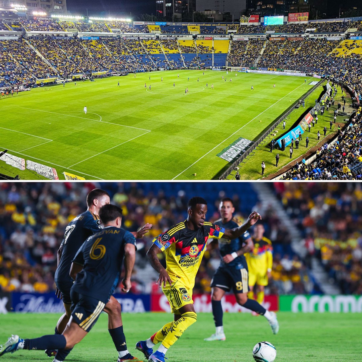 Raúl Orvañanos tweet media