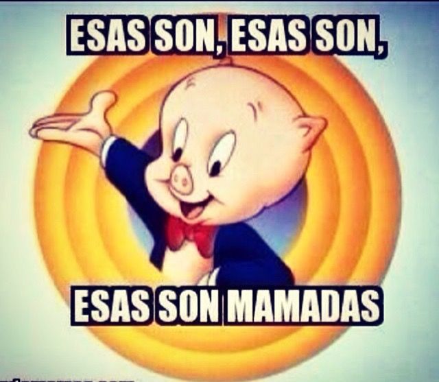 josue vilchis tweet media