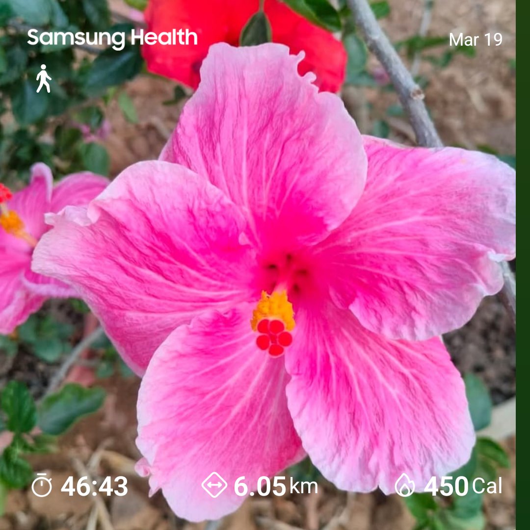 ବାଲସର୍ ଛୁଆ 📢 tweet media