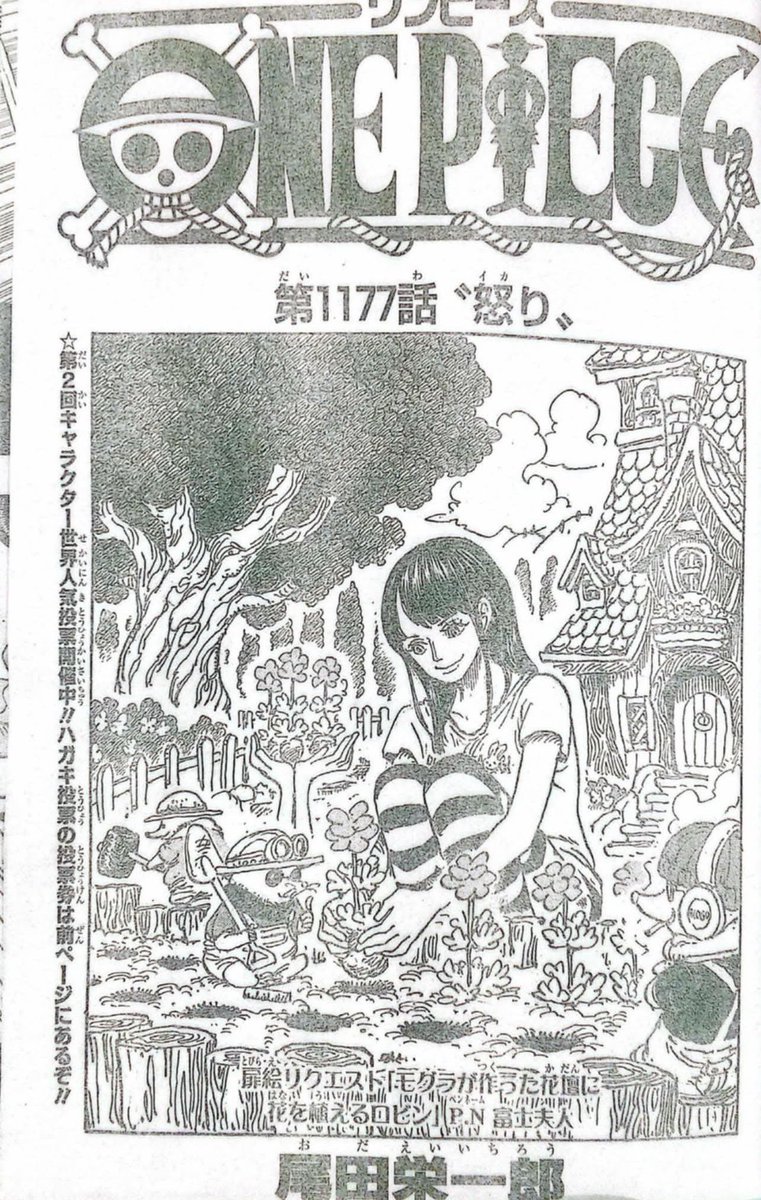 ワンピース漫画