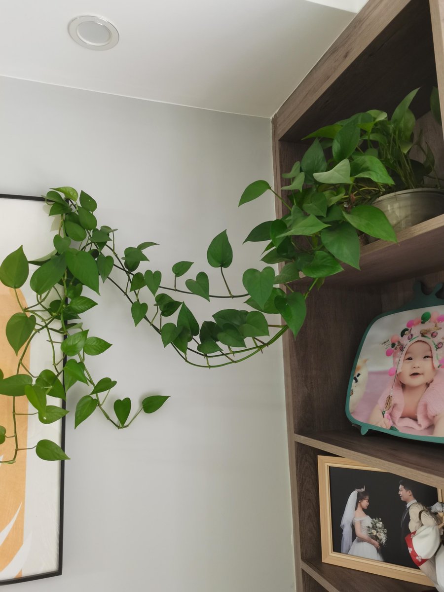 karen kasey tweet media